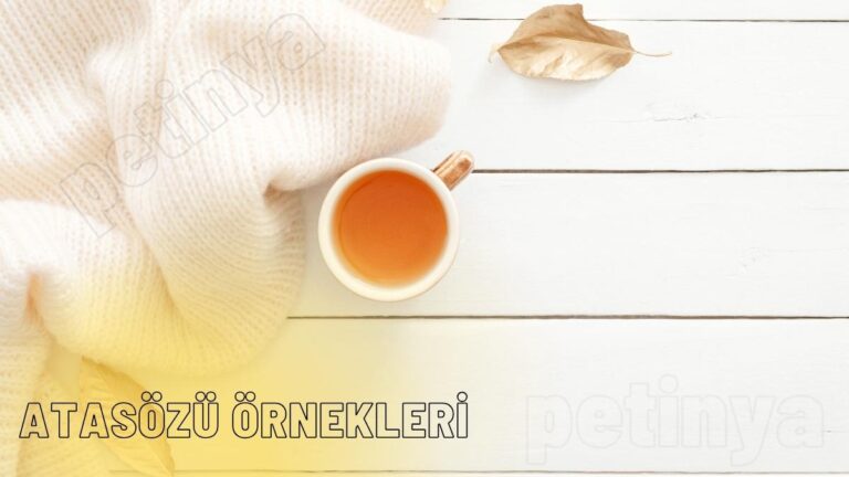 atasozu ornekleri