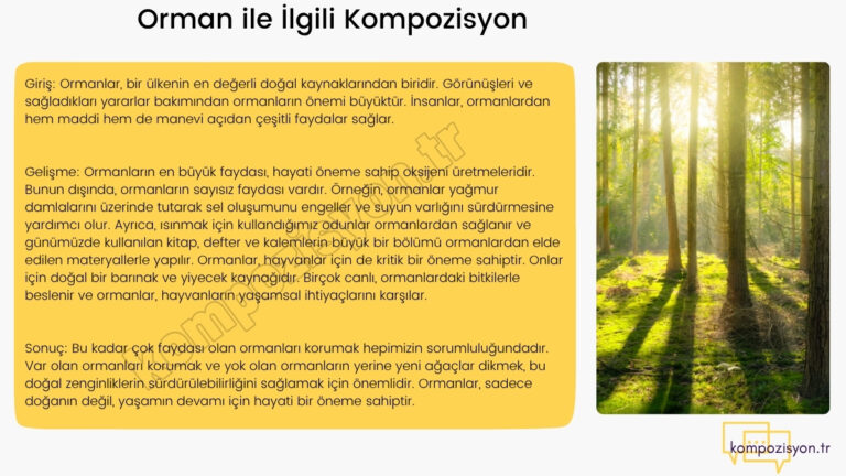 Orman ile İlgili Kompozisyon