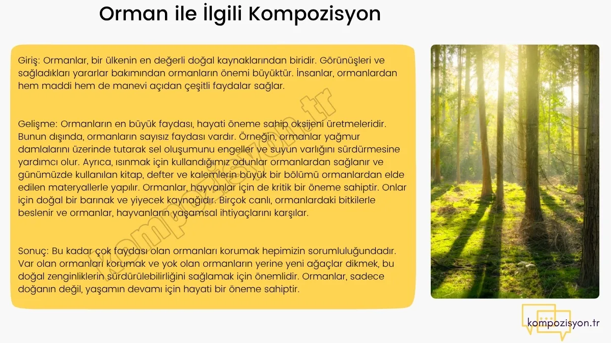 Orman ile İlgili Kompozisyon