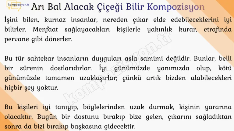 Ari Bal Alacak Cicegi Bilir Kompozisyon