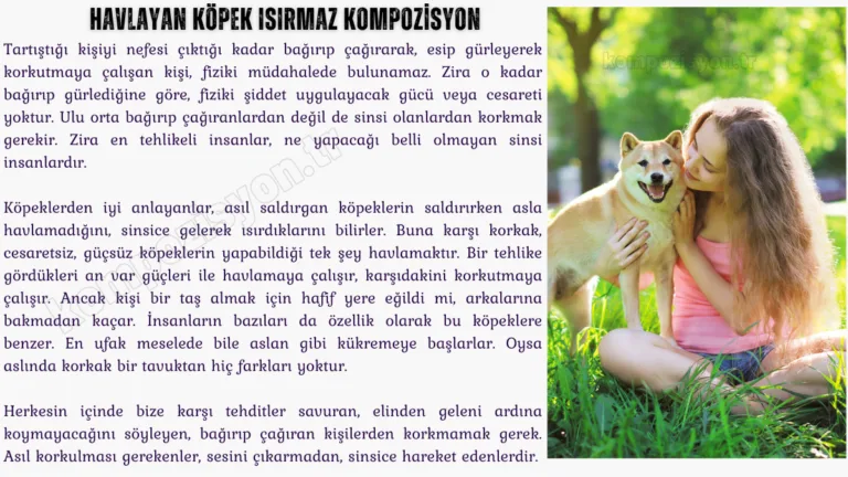 Havlayan Kopek İsirmaz Kompozisyon