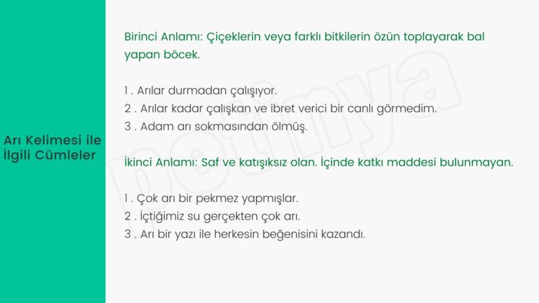 ari kelimesi ile ilgili cumleler