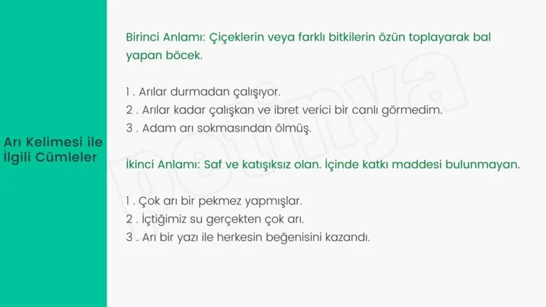 ari kelimesi ile ilgili cumleler