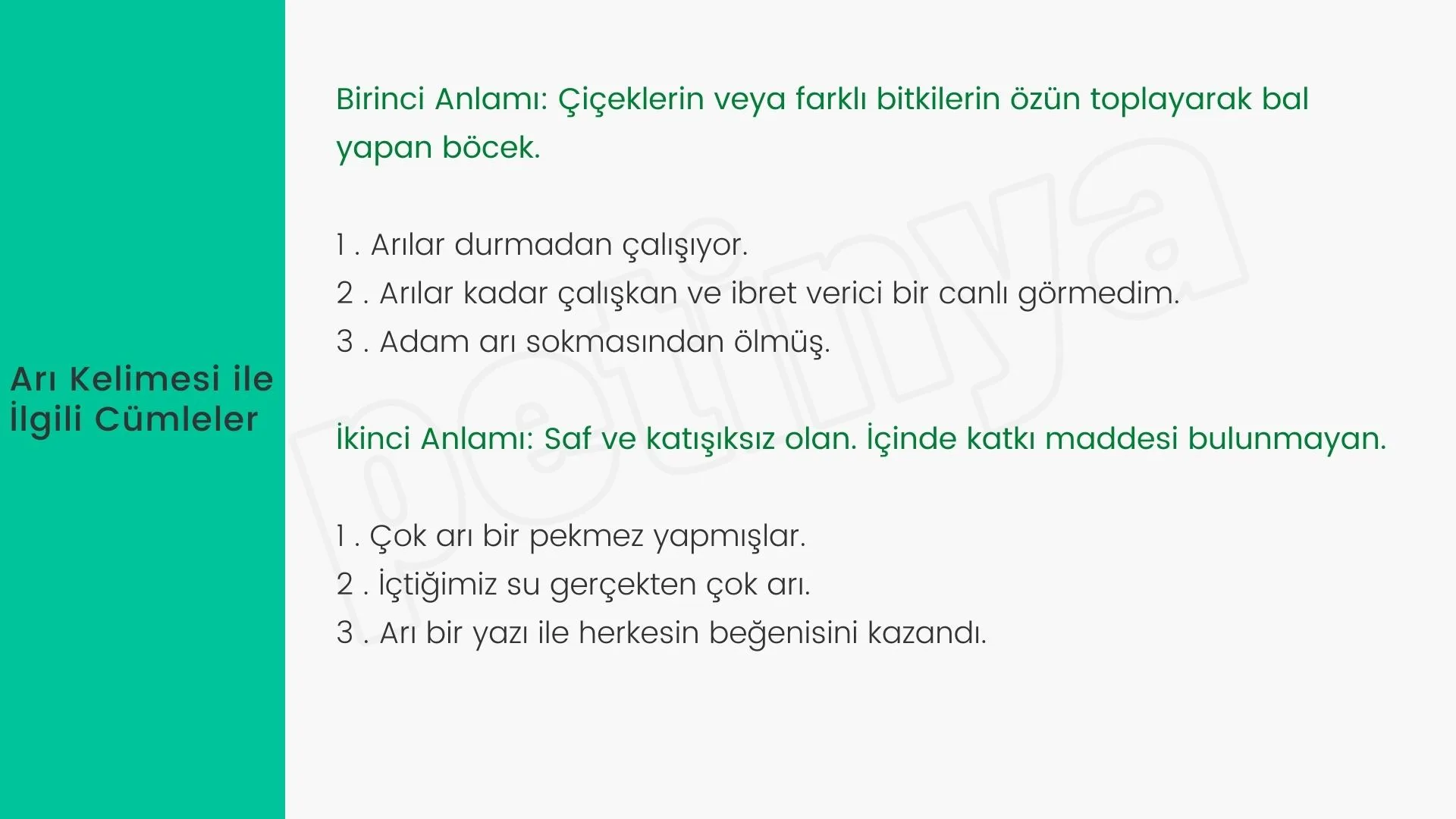 ari kelimesi ile ilgili cumleler