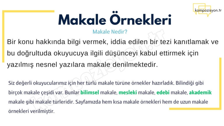 makale nedir makale ornekleri