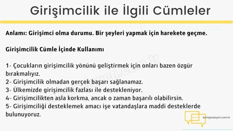 girisimcilik ile ilgili cumleler