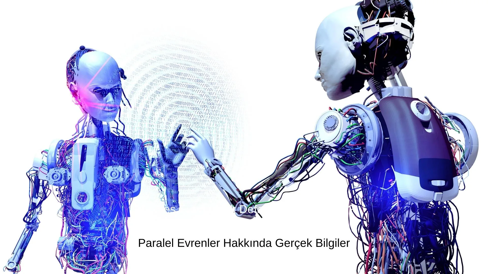 Paralel Evrenler
