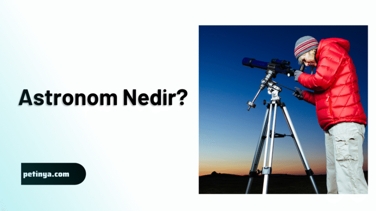 Astronom Nedir