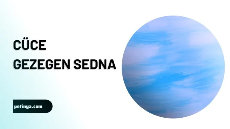 Cuce Gezegen Sedna