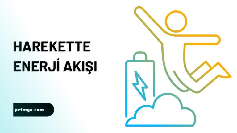 Harekette Enerji Akisi