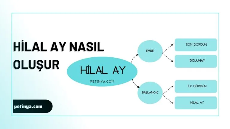 Hilal Ay Nasil Olusur