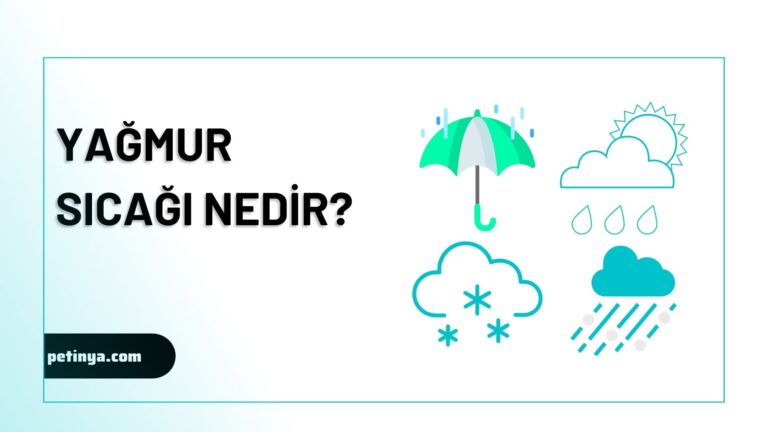 Yagis ve Yagmur Nedir Nasil Olusur