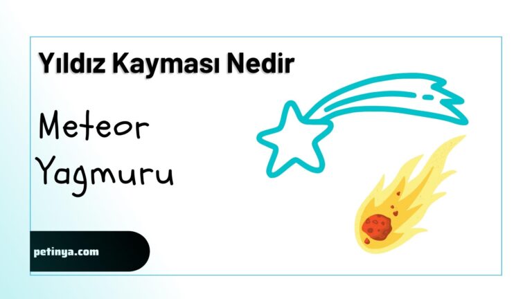 Yildiz Kaymasi Nedir Meteor Yagmuru