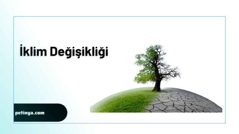 iklim degisikligi