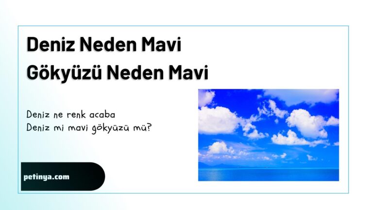 Deniz Ve Gokyuzu Neden Mavi