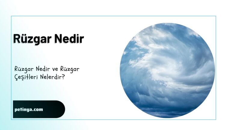 Ruzgar nedir cesitleri nelerdir