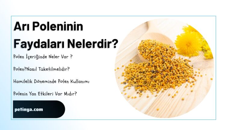 Ari Polenin Faydalari Nelerdir