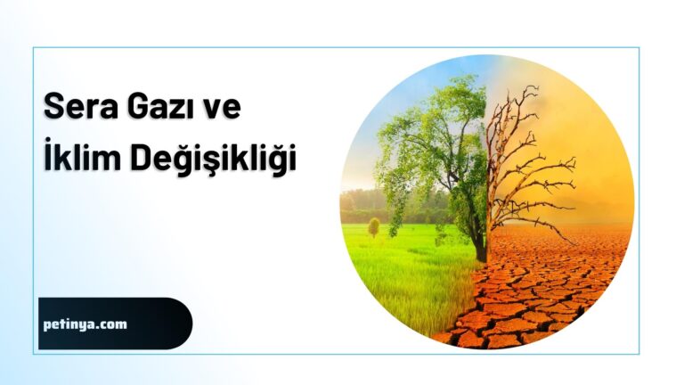 sera gazi ve iklim degisikligi
