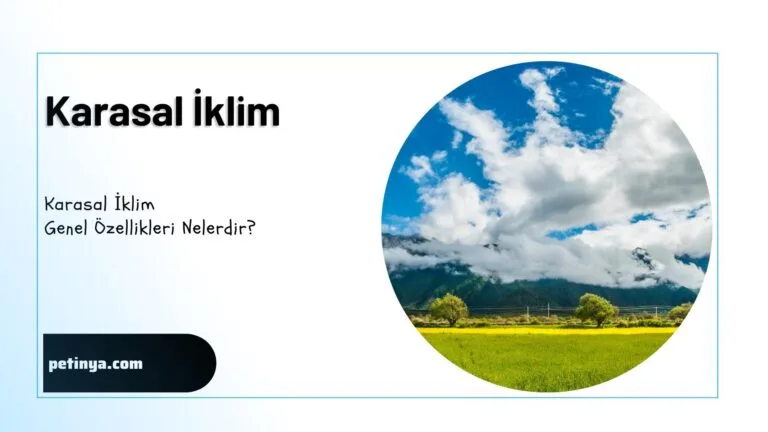 Karasal iklim
