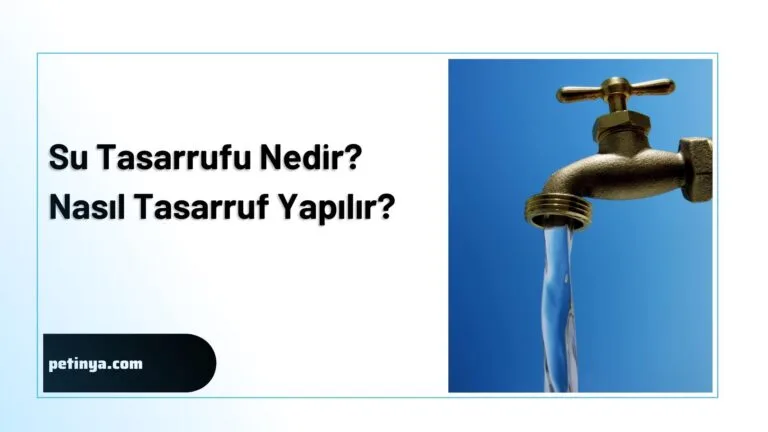 Su Tasarrufu