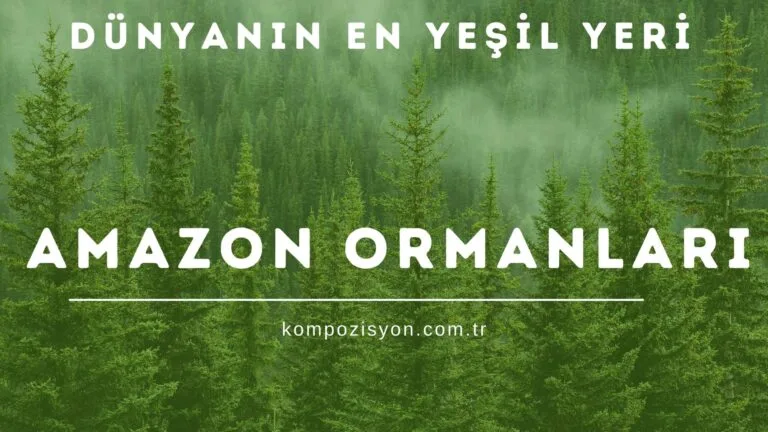 Amazon Ormanlari