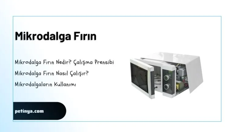 mikrodalga firin