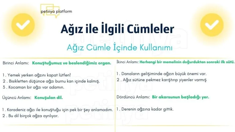 agiz kelimesi ile ilgili cumleler