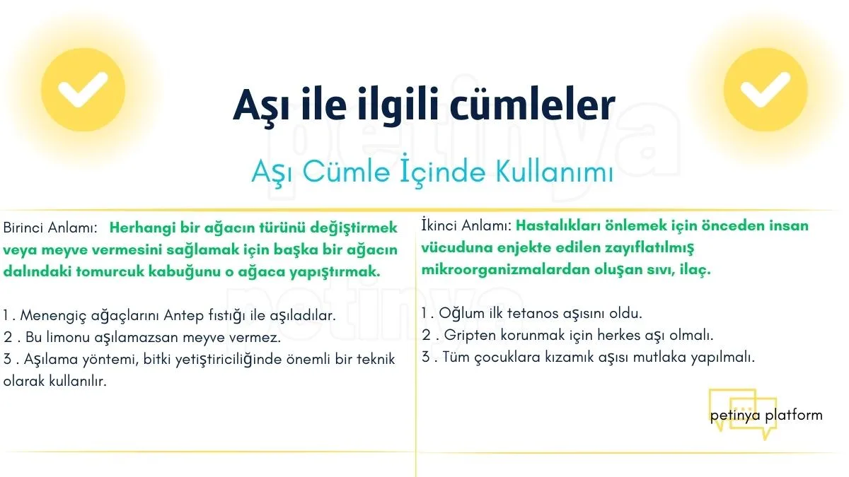 asi kelimesi ile ilgili cumleler