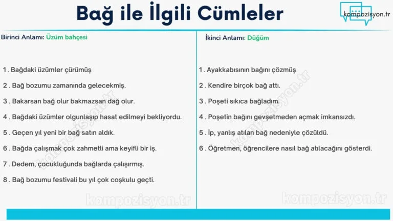 bag ile ilgili cumleler cumle icerisinde kulanimi