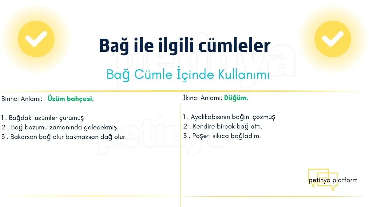 bag kelimesi ile ilgili cumleler