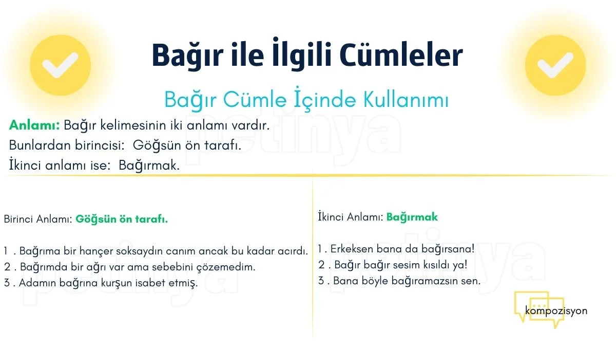 bagir kelimesi ile ilgili cumleler