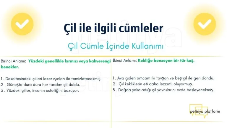 cil kelimesi ile ilgili cumleler