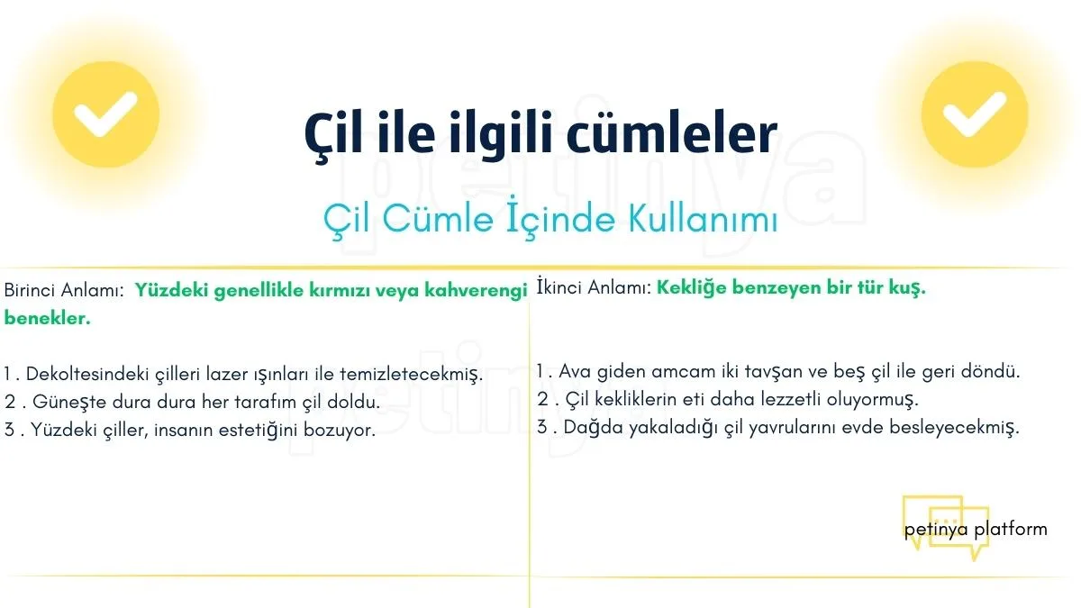 cil kelimesi ile ilgili cumleler