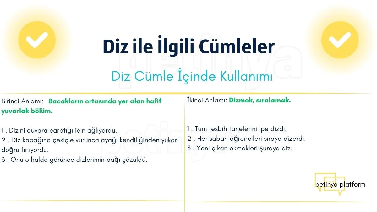 diz kelimesi ile ilgili cumleler