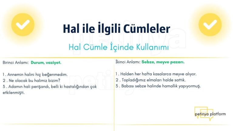 hal ile ilgili cumleler