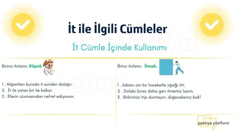 it ile ilgili cumleler