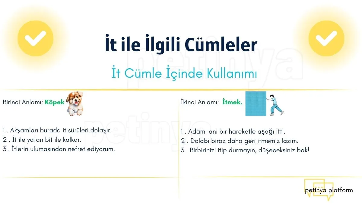 it ile ilgili cumleler
