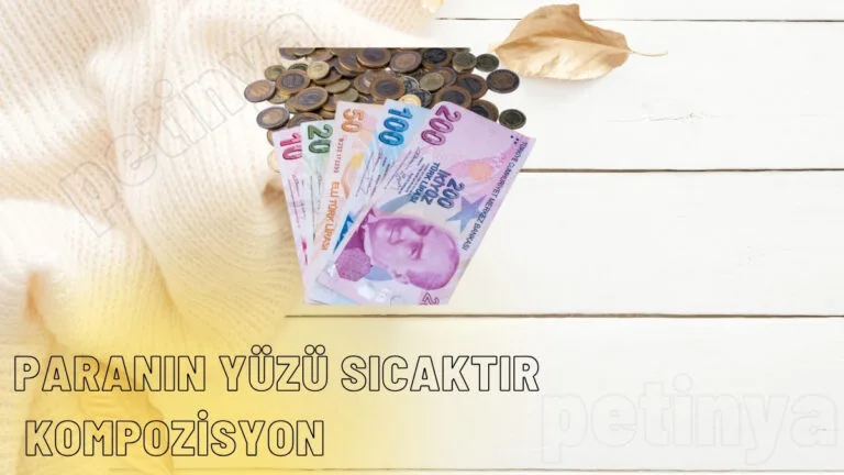 paranin yuzu sicaktir kompozisyon