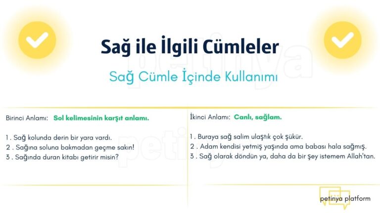 sag ile ilgili cumleler
