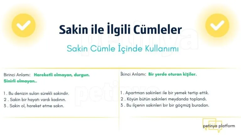 sakin ile ilgili cumleler