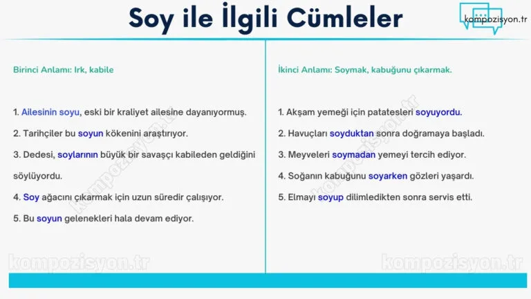 soy ile ilgili cumleler cumle icerisinde kulanimi
