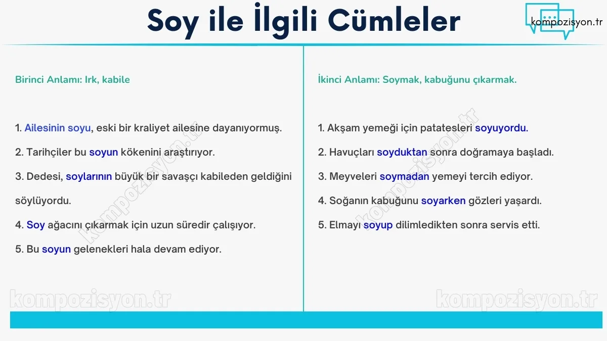 soy ile ilgili cumleler cumle icerisinde kulanimi