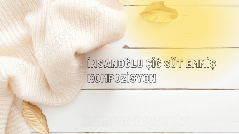 insanoglu cig sut emmis kompozisyon cover
