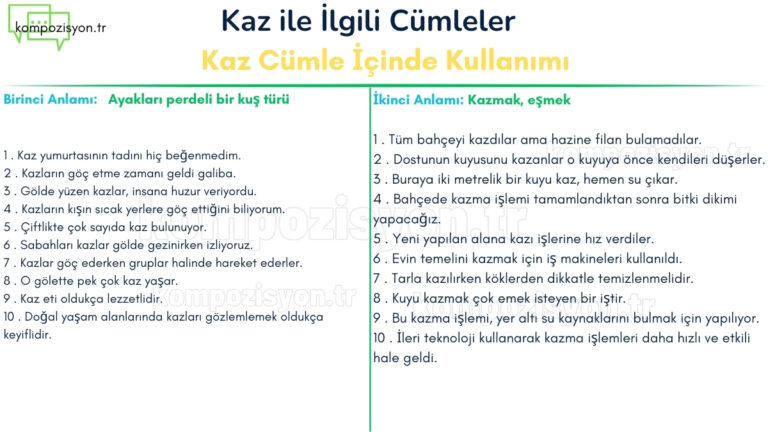 kaz ile ilgili cumleler cumle icerisinde kulanimi