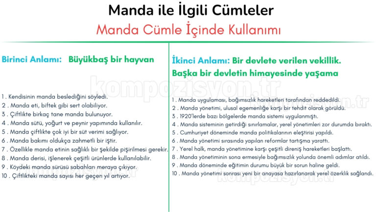 manda ile ilgili cumleler cumle icerisinde kulanimi