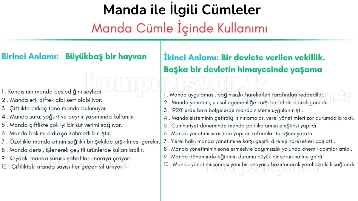 manda ile ilgili cumleler cumle icerisinde kulanimi