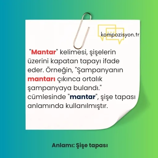 mantar anlami 1
