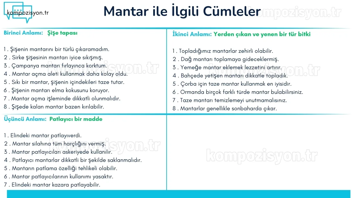 mantar ile ilgili cumleler cumle icerisinde kulanimi