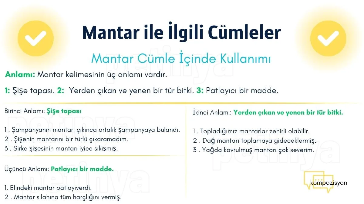 mantar ile ilgili cumleler