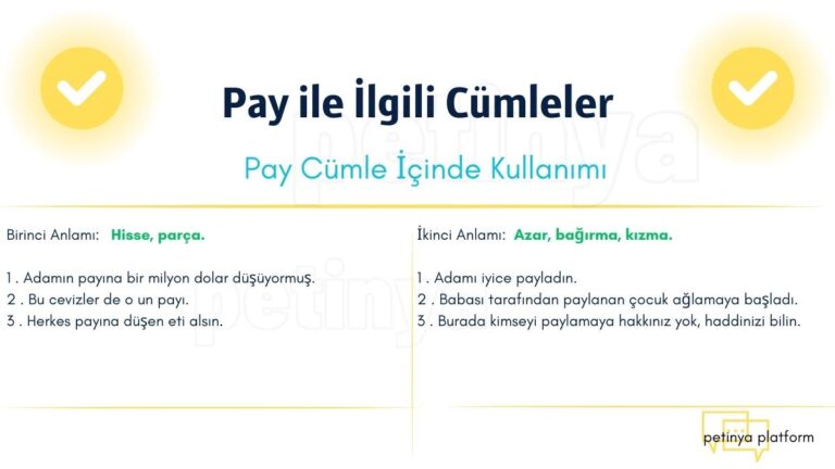 pay ile ilgili cumleler